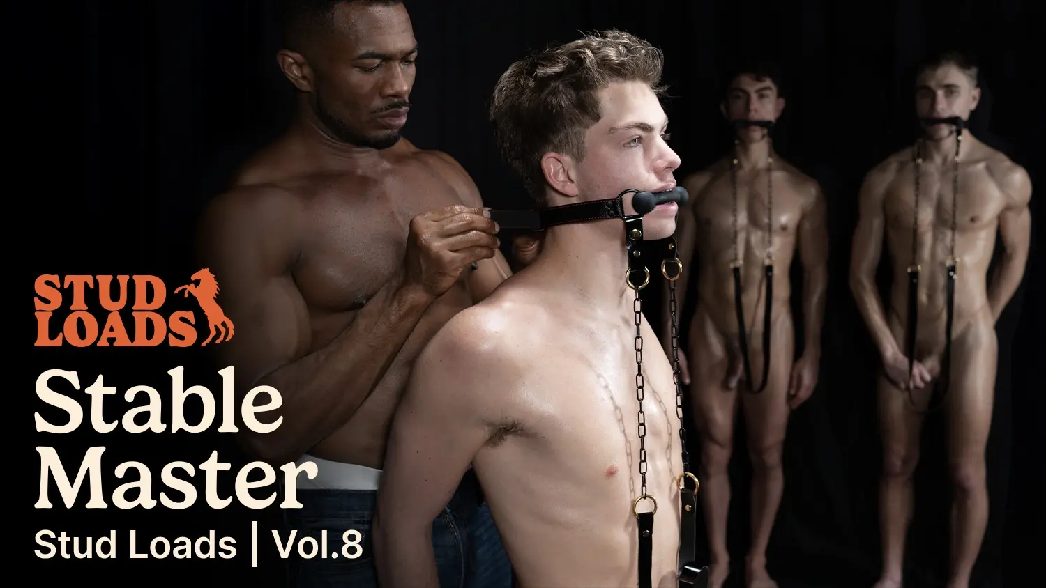 Stable Master | Stud Loads Vol. 8 Alfonso Osnaya Flynn Fenix Oliver Carter Sean Xavier 