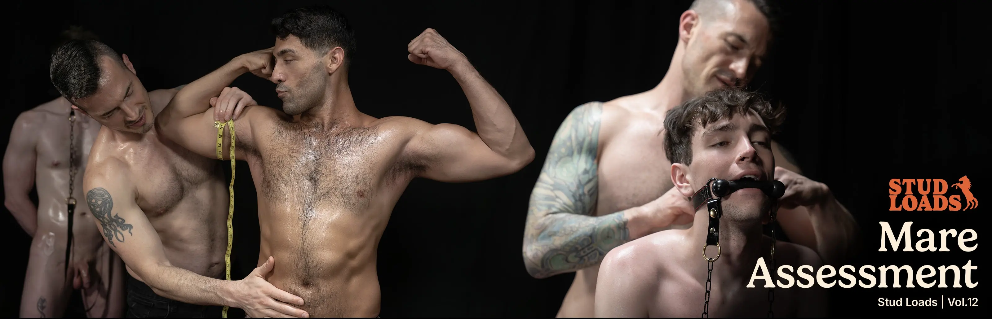 Mare Assessment | Stud Loads Vol. 12 Derek Kage Kyle Brooks Kyle Harper Rogelio Fierce 